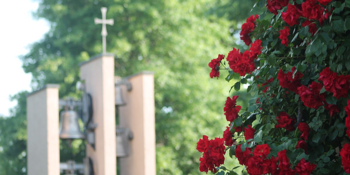 001_001_001_rose campanile